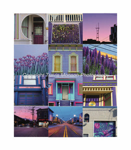 SF Colors Project: Purple Story