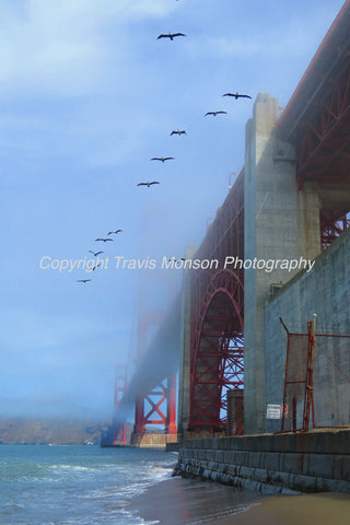 Golden Gate Bridge