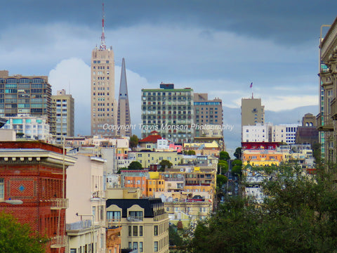 San Francisco Cityscape